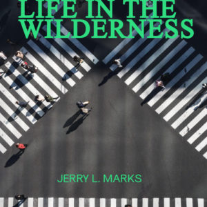 LIFE IN THE WILDERNESS