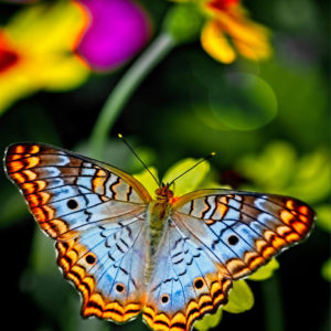 The Way to a Transformed Life