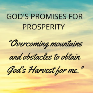 GOD'S PROMISES FOR PROSPERITY